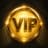 10 VIP