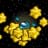 Star Bundle 50